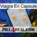 Viagra Capsule 24